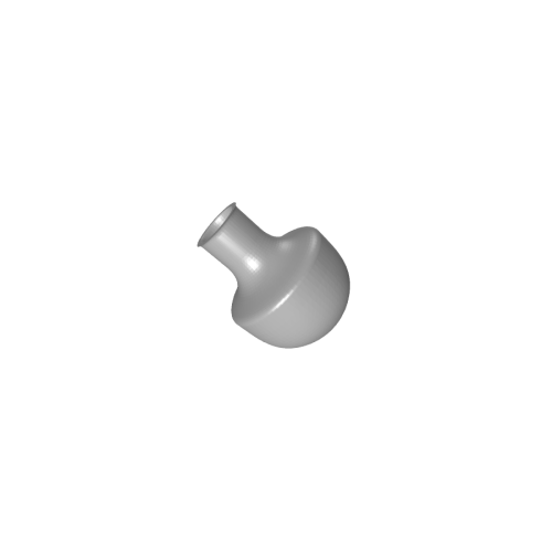 Image du moule 1005