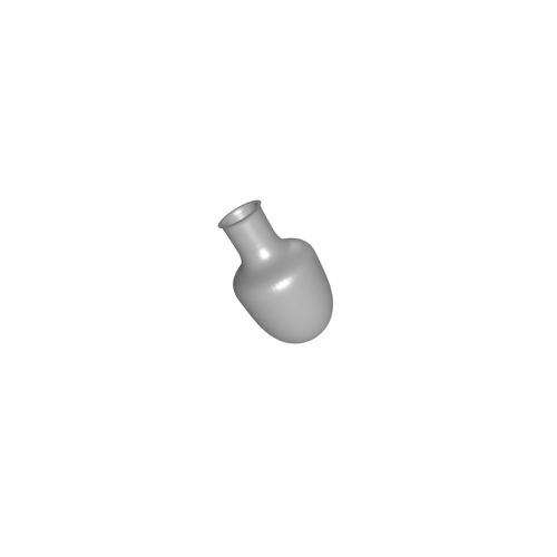Image du moule 1020