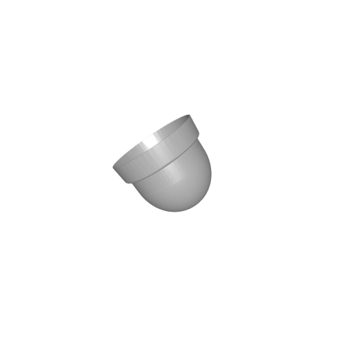Image du moule 1249