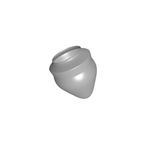 Image du moule 0013